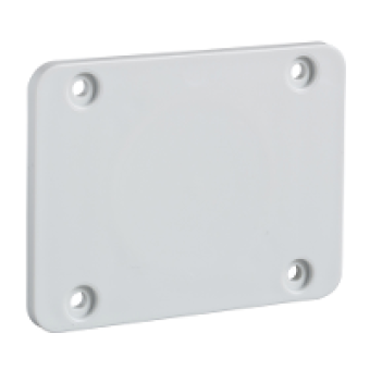13135 - 65 x 85 mm plate - for 50 x 50 mm outlet, Schneider Electric