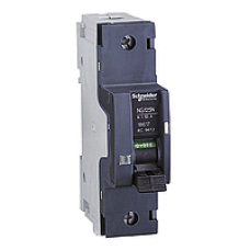 18613 - NG125 - circuit breaker - NG125N - 1P - 25A - C curve, Schneider Electric