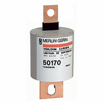 50183 - cartridge Cardew - type C - 1000 V, Schneider Electric