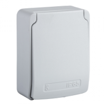 81143 - RJ 45 support 65 x 85 - with 2 adapters RJ45 Infra+ - IP65, Schneider Electric 81143 - RJ 45 support 65 x 85 - with 2 adapters RJ45 Infra+ - IP65, Schneider Electric
