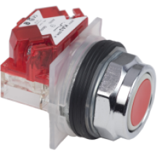 9001KR1RH6 - PUSHBUTTON 600VAC 10A 30MM TYPE K, Schneider Electric