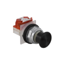 9001KR24BH13 - PUSH BUTTON 600VAC 10A 30MM T-K, Schneider Electric