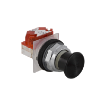 9001KR24BH13 - PUSH BUTTON 600VAC 10A 30MM T-K, Schneider Electric