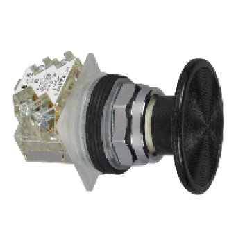 9001KR25BH13 - PUSH BUTTON 600VAC 10A 30MM T-K, Schneider Electric