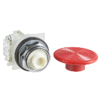 9001KR25RH13 - PUSH BUTTON 600VAC 10A 30MM T-K, Schneider Electric