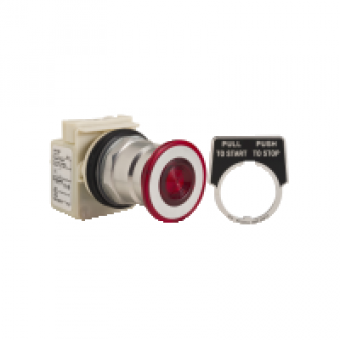 9001KR8P1RH25 - PUSH BUTTON 600VAC 10A 30MM T-K, Schneider Electric