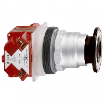 9001KR9BH13 - PUSH BUTTON 600VAC 10A 30MM T-K, Schneider Electric