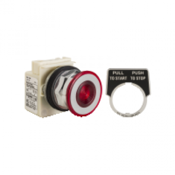 9001KR9P1R - PUSHBUTTON OPERATOR 30MM TYPE K +OPTIONS, Schneider Electric
