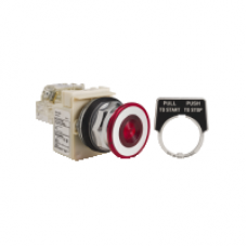 9001KR9P1RH13 - PUSH BUTTON 600VAC 10A 30MM T-K, Schneider Electric