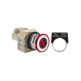 9001KR9P1RH13 - PUSH BUTTON 600VAC 10A 30MM T-K, Schneider Electric