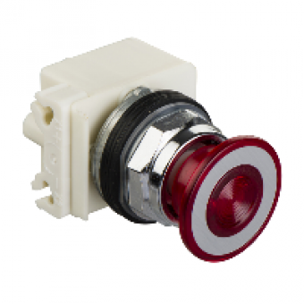 9001KR9P35LRR - PUSHBOTTON PILOT LIGHT 30MM, Schneider Electric