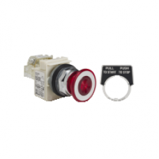 9001KR9P35RH13 - PUSH BUTTON 600VAC 10A 30MM T-K, Schneider Electric