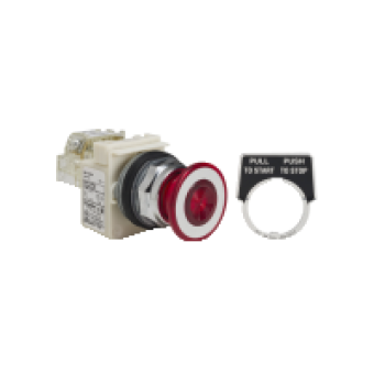 9001KR9P35RH13 - PUSH BUTTON 600VAC 10A 30MM T-K, Schneider Electric
