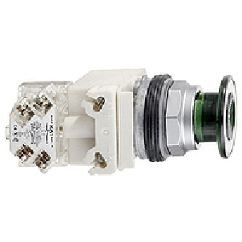 9001KR9P38LGG - PUSHBUTTON OPERATOR 30MM TYPE K +OPTIONS, Schneider Electric