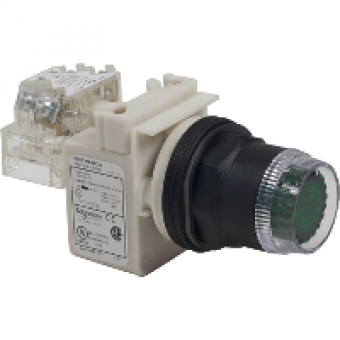 9001SK1L1GH13 - PUSHBUTTON 600VAC 10AMP 30MM SK +OPTIONS, Schneider Electric