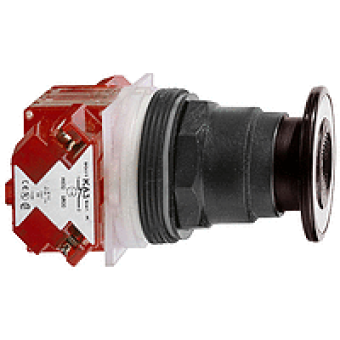 9001SKR9BH13 - PUSHBUTTON 600VAC 10AMP 30MM SK +OPTIONS, Schneider Electric