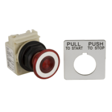 9001SKR9P1R - PUSHBUTTON 120VAC 30MM SK +OPTIONS, Schneider Electric
