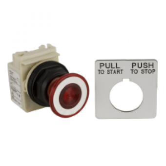 9001SKR9P1R - PUSHBUTTON 120VAC 30MM SK +OPTIONS, Schneider Electric