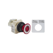9001SKR9P1RH13 - PUSHBUTTON 120VAC 30MM SK +OPTIONS, Schneider Electric