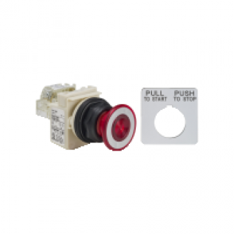 9001SKR9P1RH13 - PUSHBUTTON 120VAC 30MM SK +OPTIONS, Schneider Electric