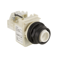 9001SKT1 - 30MM PILOT LIGHT PUSH TO TEST 110-120V, Schneider Electric