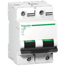 A9N18385 - C120N - circuit breaker - 2P - 125A - D curve, Schneider Electric