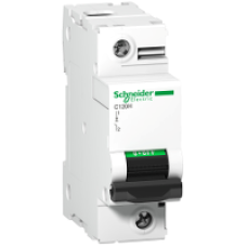 A9N18491 - C120H - circuit breaker - 1P - 100A - D curve, Schneider Electric