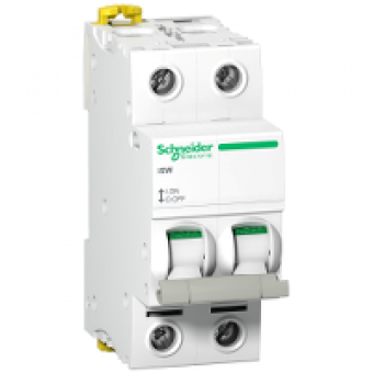 A9S65291 - switch disconnector iSW - 2P - 100 A - 415 V, Schneider Electric