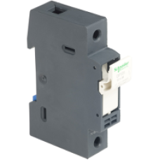 DF101 - TeSyS fuse-disconnector - 1P - 25A - fuse size 10 x 38 mm, Schneider Electric