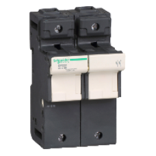 DF222 - TeSyS fuse-disconnector 2P 125A - fuse size 22 x 58 mm, Schneider Electric