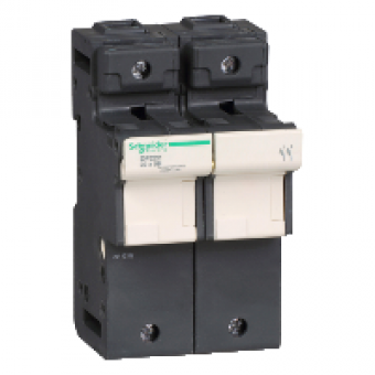 DF222 - TeSyS fuse-disconnector 2P 125A - fuse size 22 x 58 mm, Schneider Electric DF222 - TeSyS fuse-disconnector 2P 125A - fuse size 22 x 58 mm, Schneider Electric