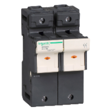 DF222V - TeSyS fuse-disconnector 2P 125A - fuse size 22 x 58 mm - blown fuse indicator, Schneider Electric DF222V - TeSyS fuse-disconnector 2P 125A - fuse size 22 x 58 mm - blown fuse indicator, Schneider Electric