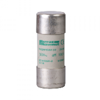 DF2FA63 - TeSys fuse-disconnector - fuse cartridge 22 x 58 mm - aM 63 A - w/o indication, Schneider Electric