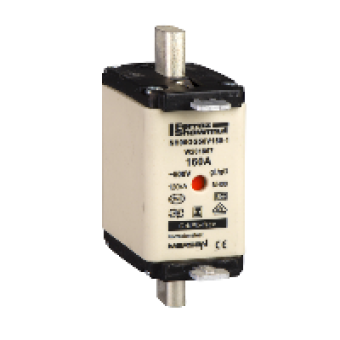 DF2FGN125 - fuse cartridge DIN 00 with blades - gG 125 A - without indication, Schneider Electric DF2FGN125 - fuse cartridge DIN 00 with blades - gG 125 A - without indication, Schneider Electric