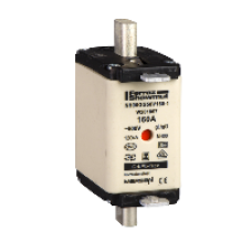 DF2FGN160 - fuse cartridge DIN 00 with blades - gG 160 A - without indication, Schneider Electric