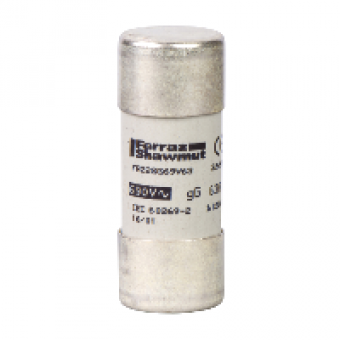 DF2FN100 - TeSys fuse-disconnector - fuse cartridge 22 x 58 mm gG 100 A - w/o indication, Schneider Electric DF2FN100 - TeSys fuse-disconnector - fuse cartridge 22 x 58 mm gG 100 A - w/o indication, Schneider Electric