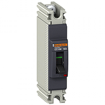 EZC100N1015 - circuit breaker Easypact EZC100N - TMD - 15 A - 1 pole 1d, Schneider Electric