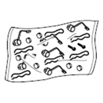 LV429375 - lead-sealing accessories, Schneider Electric