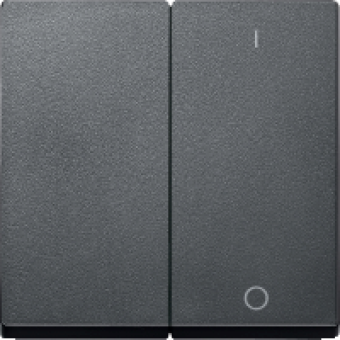 MTN312014 - Rocker 2-gang marked 0/1 anthracite System M, Schneider Electric