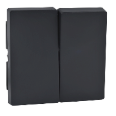MTN433514 - Rocker 2-gang anthracite System M, Schneider Electric