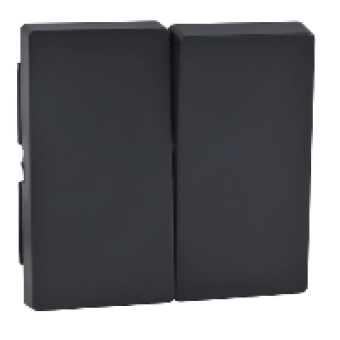 MTN433514 - Rocker 2-gang anthracite System M, Schneider Electric