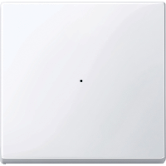 MTN619125 - Rocker for 1-gang push-button module active white glossy System M, Schneider Electric