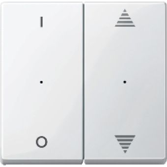 MTN619519 - Rockers f. 2-gng pbtn module w. 1/0 & up/dwn arrw imp. pol.wht. glos. Sys.M, Schneider Electric