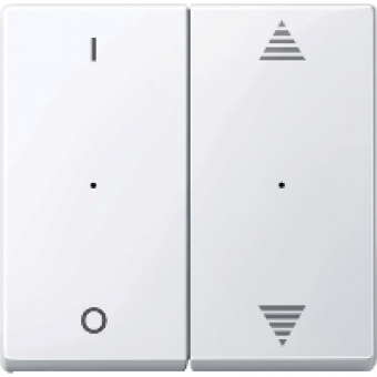 MTN619525 - Rockers f. 2-gng pbtn module w. 1/0 & up/dwn arrw imp. act. wht glos. Sys.M, Schneider Electric