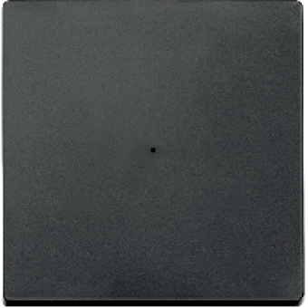 MTN625114 - Rocker for 1-gang push-button module anthracite System M, Schneider Electric