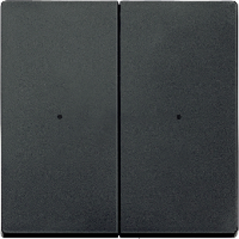 MTN625214 - Rockers for 2-gang push-button module anthracite System M, Schneider Electric