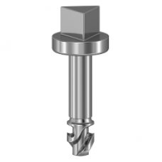 NSYAEDSTSB - Triangular screws Ø6.5 mm for SBM boxes, Schneider Electric