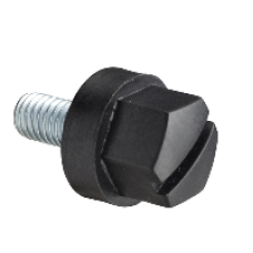 NSYSM10M5HP - Insulated head screw M5x10mm. Supply: 100 units, Schneider Electric