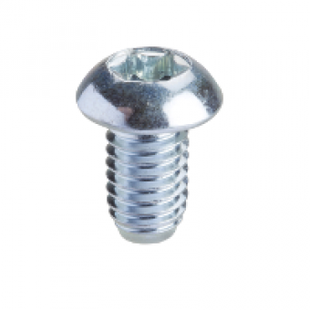 NSYSPM6 - Torx screw T30 (M6x10). Supply: 50 units, Schneider Electric