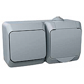 WDE000600 - Cedar Plus - single socket outlet sideE+1pole switch - 16A(X) grey, Schneider Electric